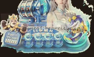 核查栏目数据